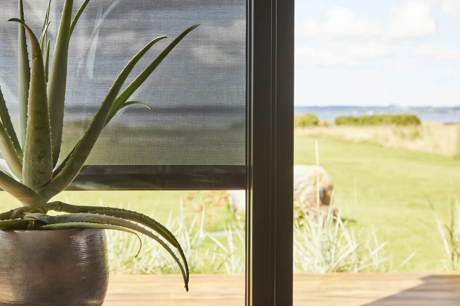 Närbild på mörk screenväv som dämpar solljuset, med en aloe vera i kruka framför