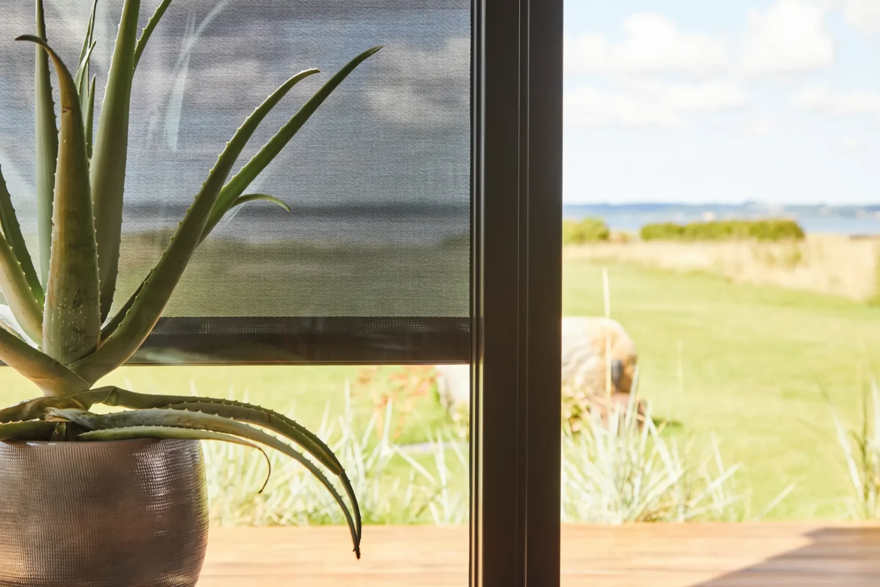 Närbild på mörk screenväv som dämpar solljuset, med en aloe vera i kruka framför